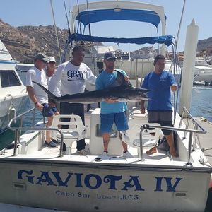 Meet your Posher, Shane